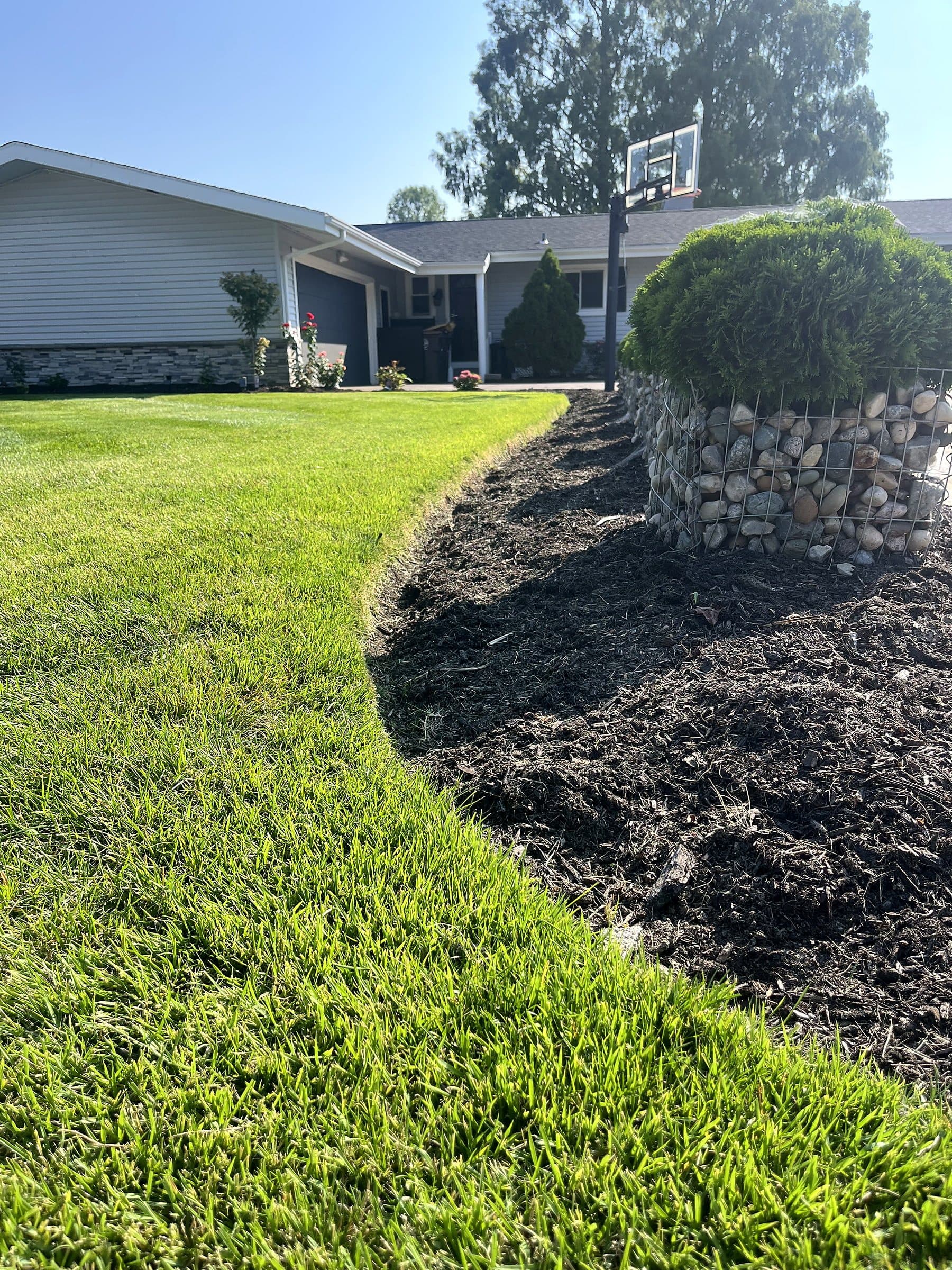 Freshly edged and mulched residential landscape bed